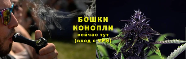 spice Богородицк